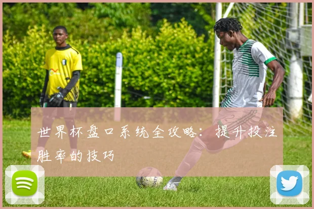 世界杯盘口系统全攻略:提升投注胜率的技巧