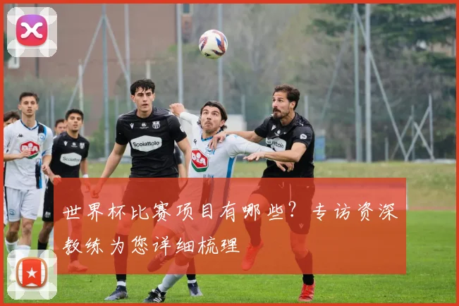 世界杯比赛项目有哪些?专访资深教练为您详细梳理