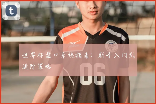 世界杯盘口系统指南：新手入门到进阶策略