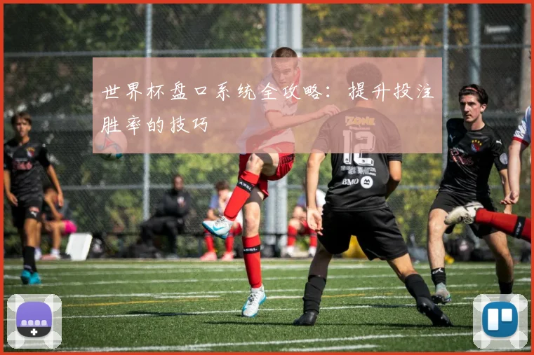 世界杯盘口系统全攻略：提升投注胜率的技巧