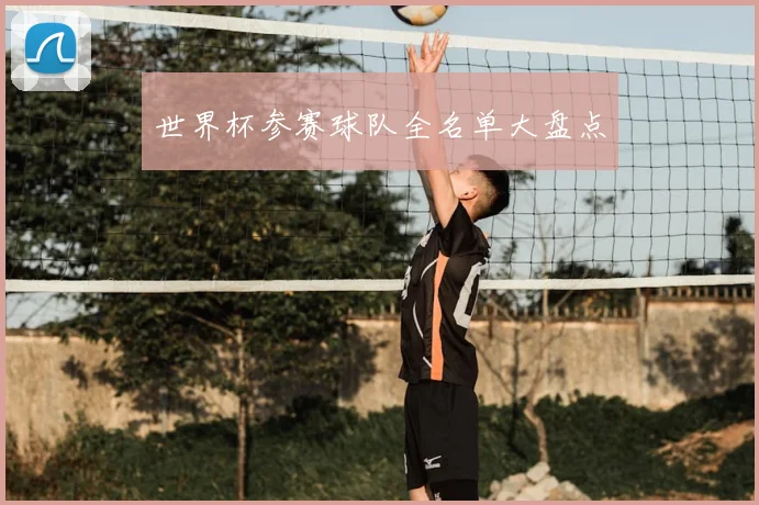 世界杯参赛球队全名单大盘点