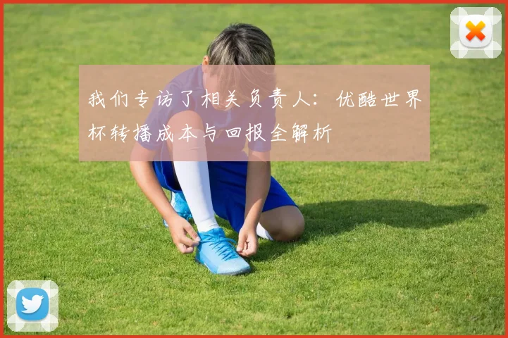 我们专访了相关负责人:优酷世界杯转播成本与回报全解析