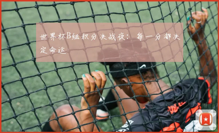 世界杯B组积分决战夜:每一分都决定命运