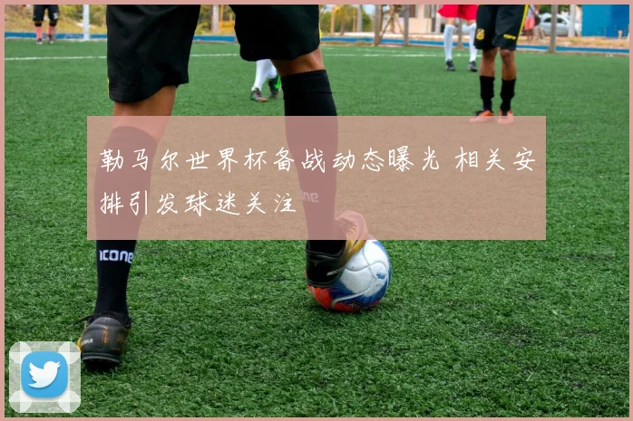 勒马尔世界杯备战动态曝光 相关安排引发球迷关注