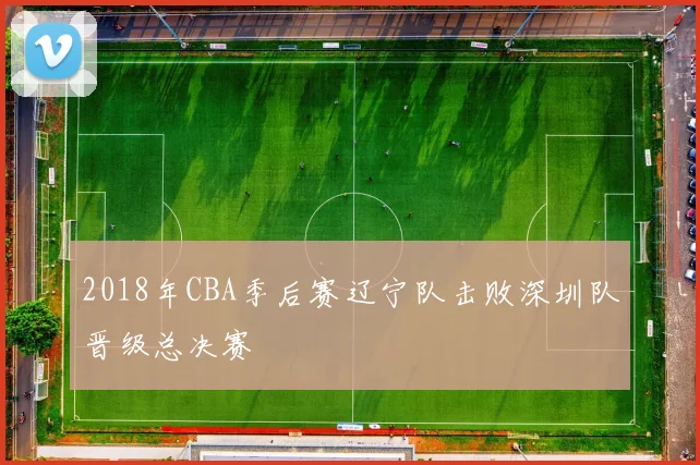 2018年CBA季后赛辽宁队击败深圳队晋级总决赛