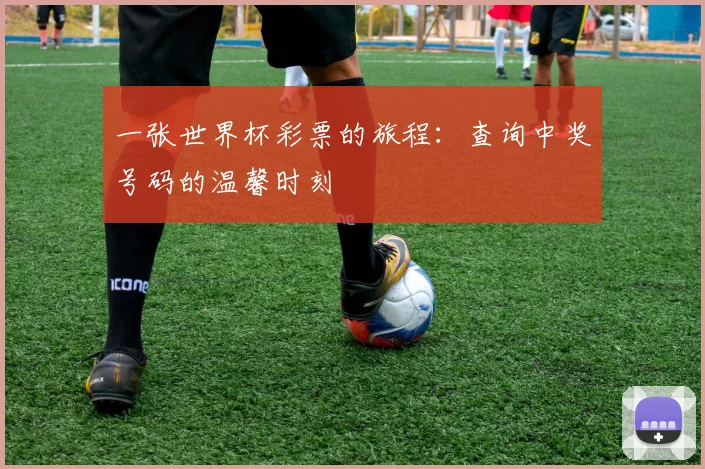 一张世界杯彩票的旅程:查询中奖号码的温馨时刻