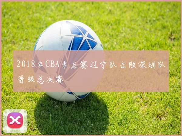2018年CBA季后赛辽宁队击败深圳队晋级总决赛